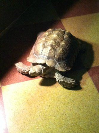 National Park Aquarium